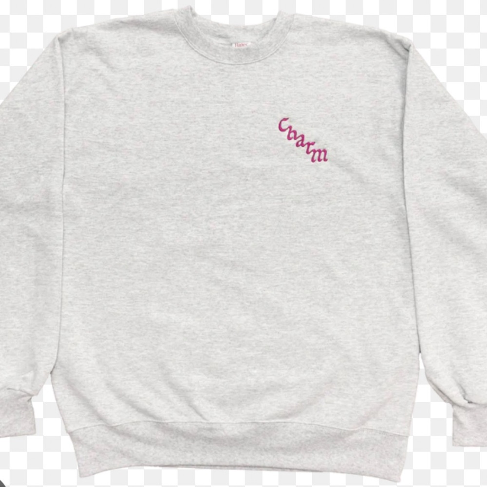Clairo Charm official merch - 2XL Embroidered Hanes crewneck sweatshirt